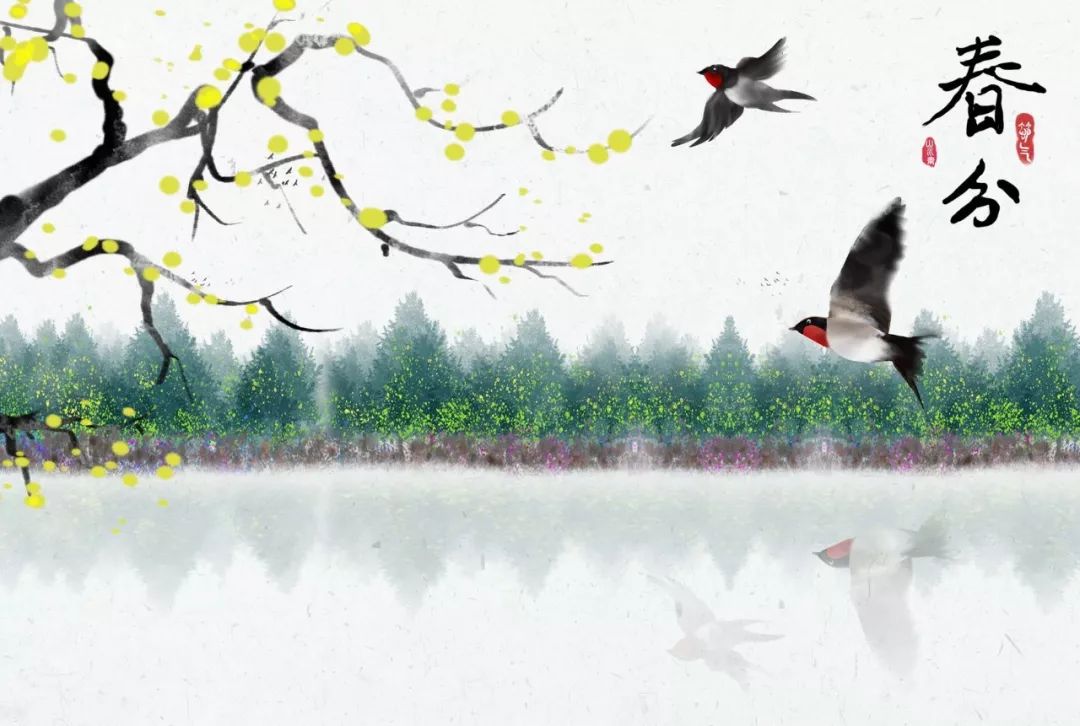 今日春分春风十里莫负时光,今日春分惜取春光莫负今朝