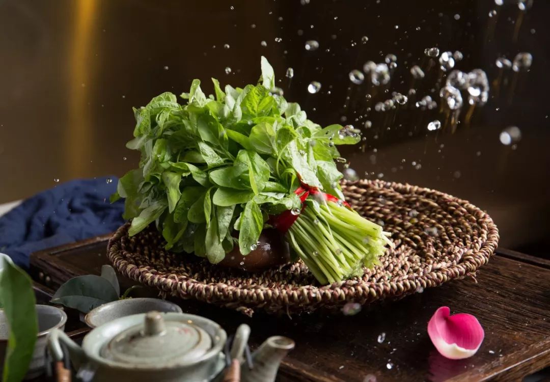 今日春分春风十里莫负时光,今日春分惜取春光莫负今朝