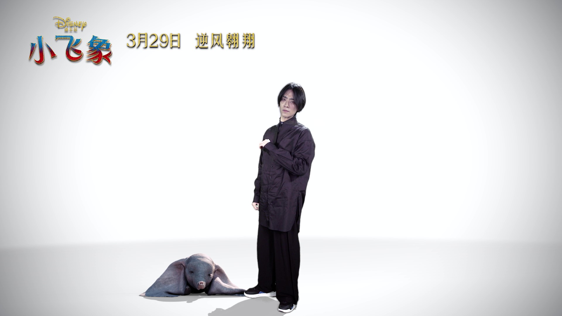 揭秘大龙小飞象幕后趣事,首波“飞”一般口碑揭晓答案