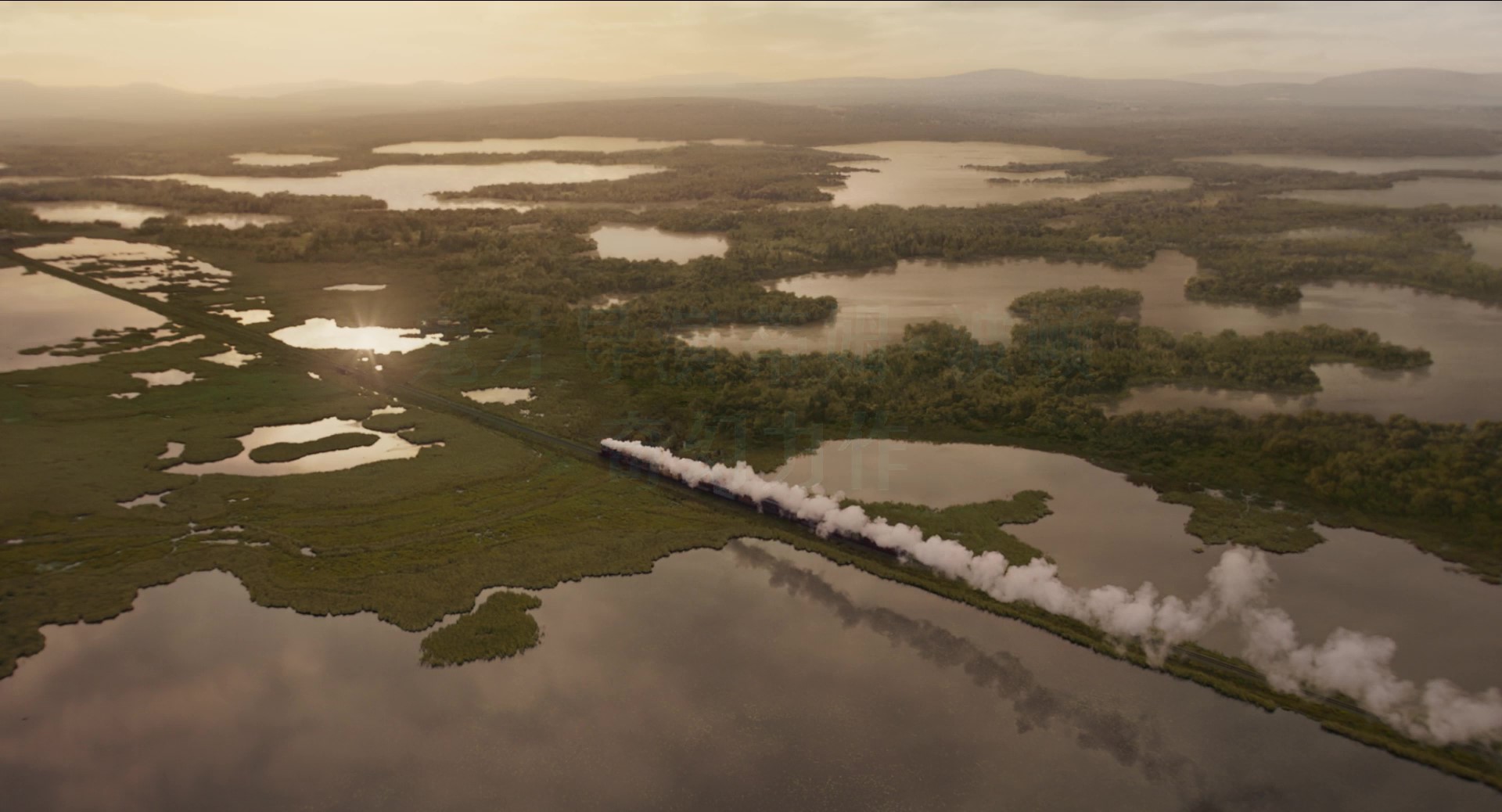 揭秘大龙小飞象幕后趣事,首波“飞”一般口碑揭晓答案