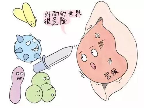 妇幼科普视频,妇幼科普内容