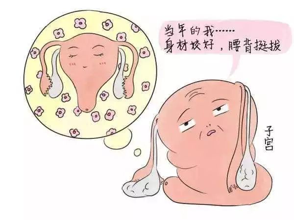妇幼科普视频,妇幼科普内容