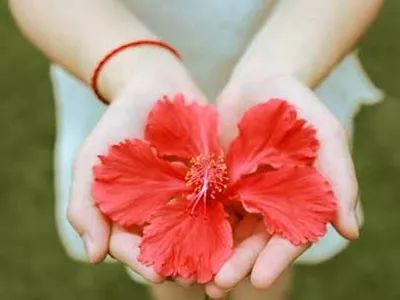 妇幼科普视频,妇幼科普内容