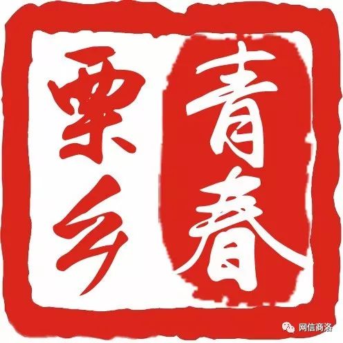 商洛金奖银奖,第三届商洛市好网民评选活动