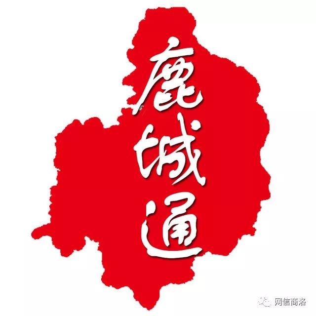 商洛金奖银奖,第三届商洛市好网民评选活动