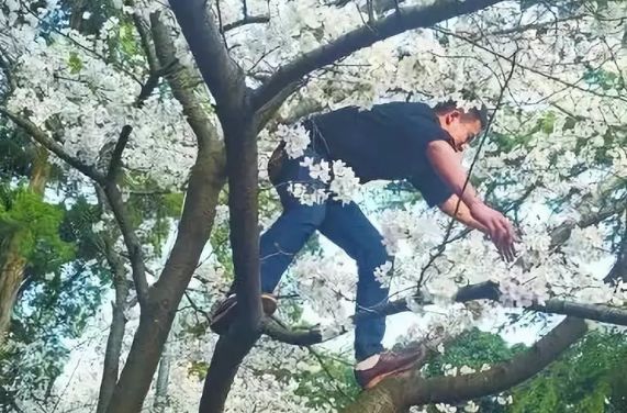 都挺好中女主被二哥打,都挺好各个女主结局