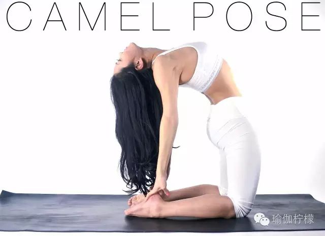 骆驼在沙漠中有什么作用,骆驼在骆驼祥子中起什么作用