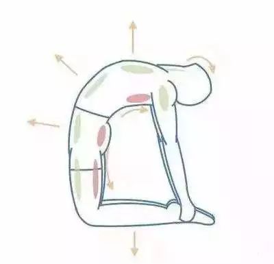 骆驼在沙漠中有什么作用,骆驼在骆驼祥子中起什么作用