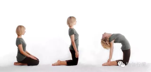 骆驼在沙漠中有什么作用,骆驼在骆驼祥子中起什么作用