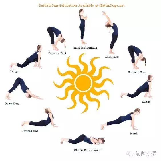 骆驼在沙漠中有什么作用,骆驼在骆驼祥子中起什么作用