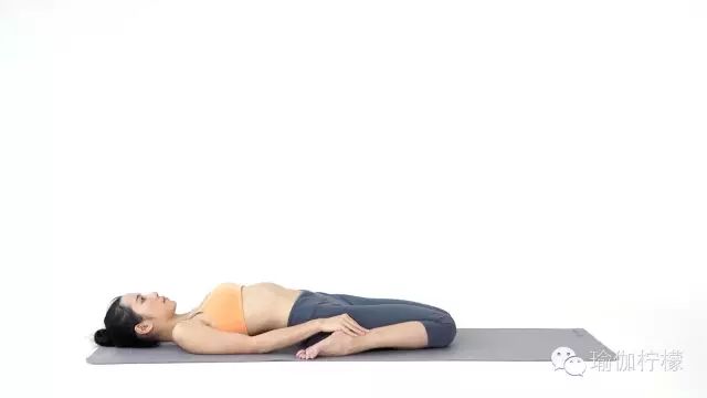 骆驼在沙漠中有什么作用,骆驼在骆驼祥子中起什么作用