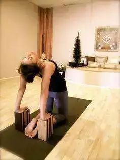 骆驼在沙漠中有什么作用,骆驼在骆驼祥子中起什么作用