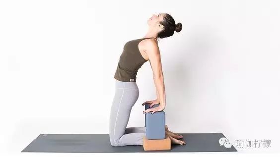 骆驼在沙漠中有什么作用,骆驼在骆驼祥子中起什么作用