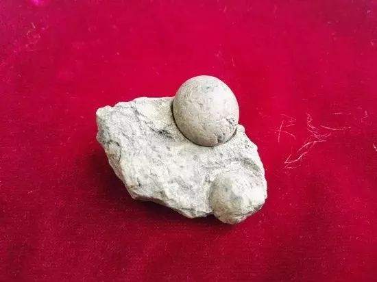 贵州绿茶哪个最好,中国绿茶产区分布图