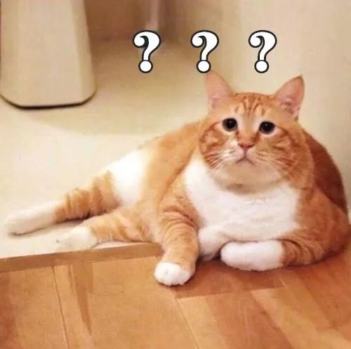 妯辨妗冩潖鏉庢ⅷ杈ㄨ鏂规硶,姊呮潕妗冩潖妯辫姳鎬庝箞鍖哄垎