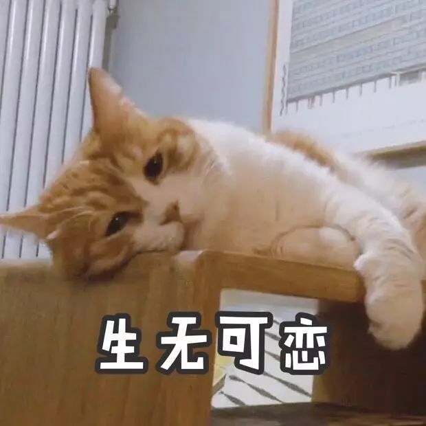 妯辨妗冩潖鏉庢ⅷ杈ㄨ鏂规硶,姊呮潕妗冩潖妯辫姳鎬庝箞鍖哄垎