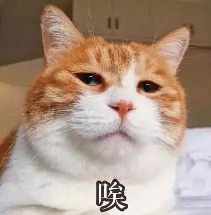 妯辨妗冩潖鏉庢ⅷ杈ㄨ鏂规硶,姊呮潕妗冩潖妯辫姳鎬庝箞鍖哄垎