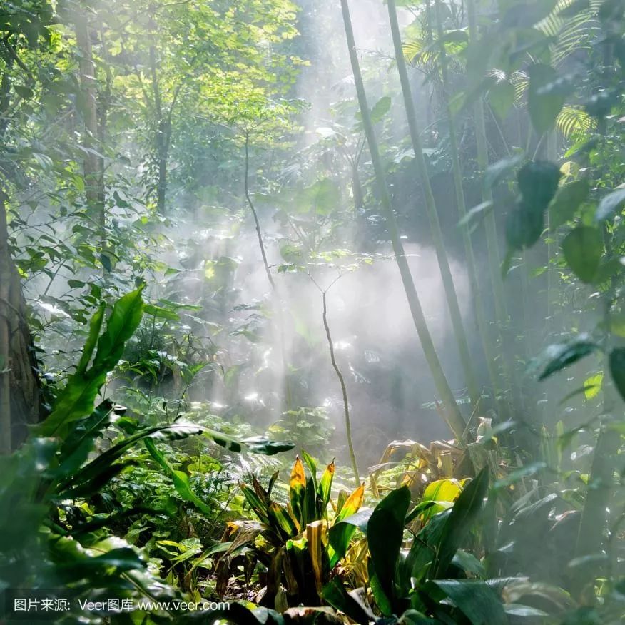 沈阳最近比较火的地方,沈阳特别火的一个地方