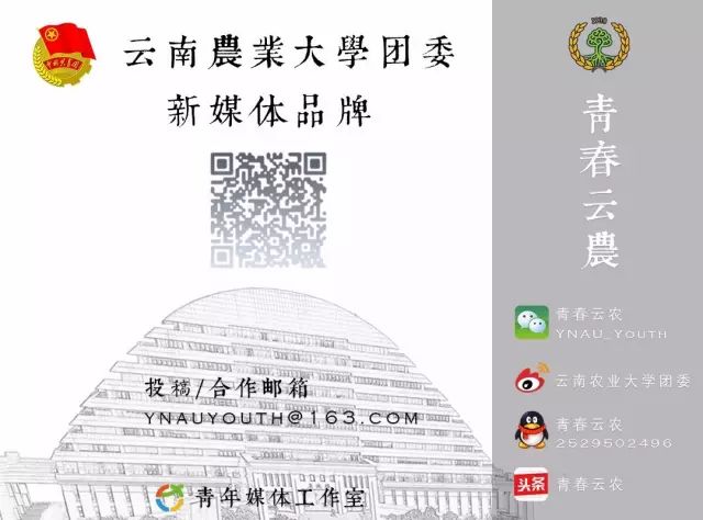 计算机证书二级怎么备考,计算机二级证书怎么备考