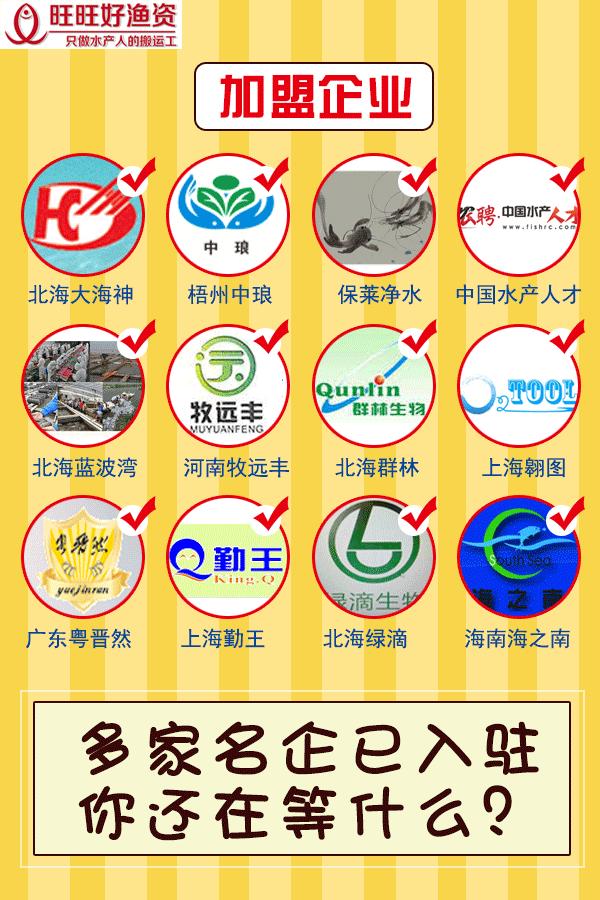 天气炎热养殖户注意什么,天气变化养殖户做好预防工作