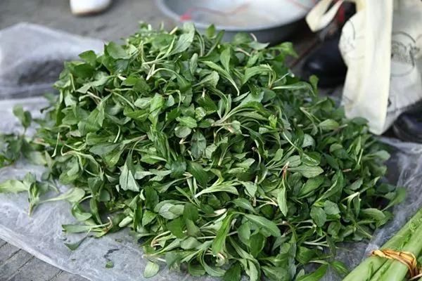 你知道春分的习俗吗,春分习俗你知道多少