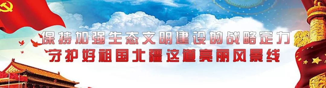 【青山·荐】重磅!青山区2019年义务教育阶段学校招生工作实施意见