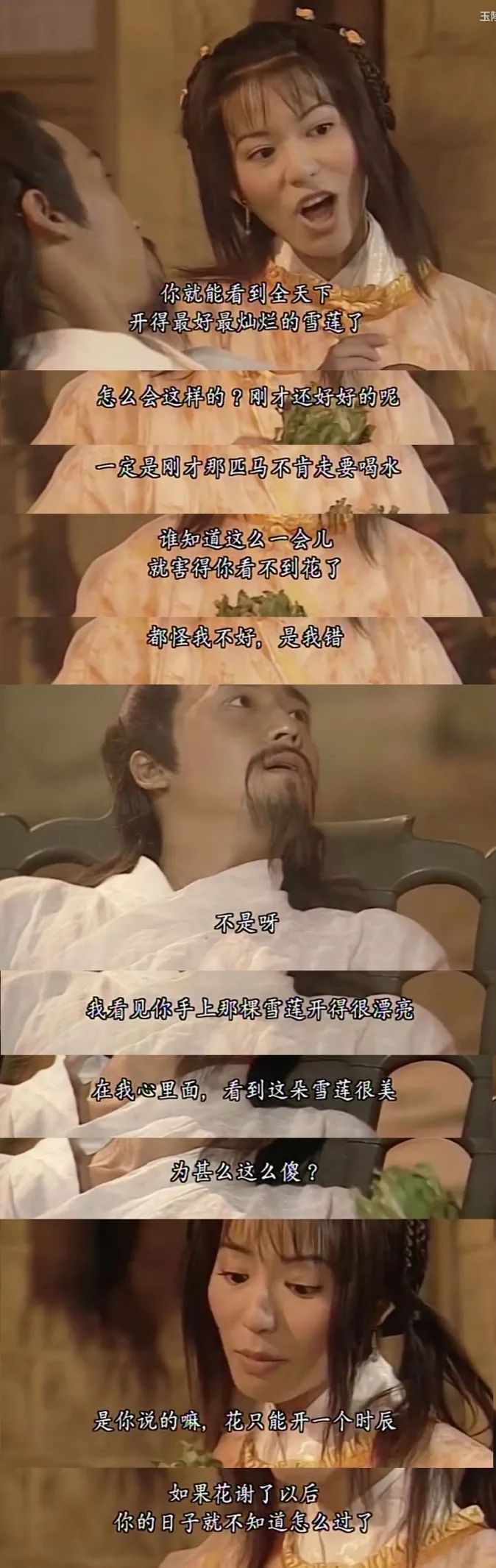 杨不悔和杨过的结局,杨不悔的结局