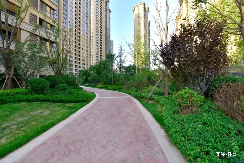 城西新盘首开刚需户型,楼市利好扎堆来袭