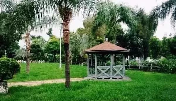 哈尔滨哪里有五人制足球场,哈尔滨足球场