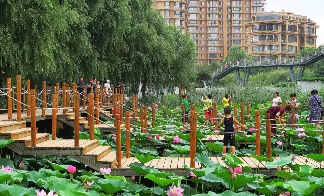 哈尔滨哪里有五人制足球场,哈尔滨足球场