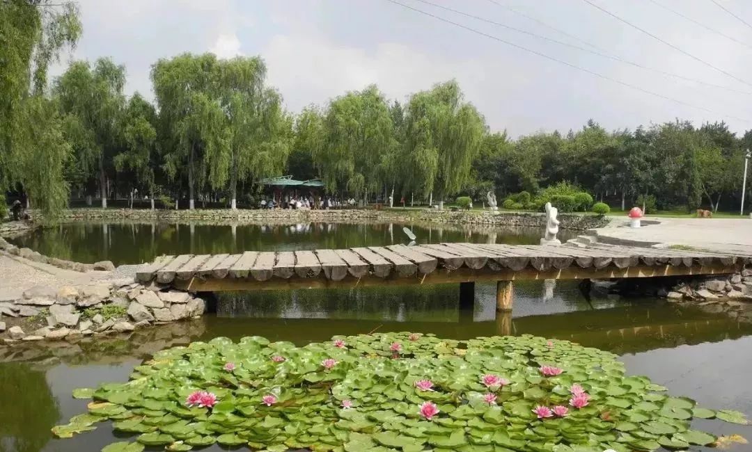 哈尔滨哪里有五人制足球场,哈尔滨足球场