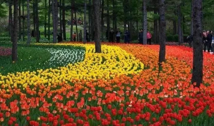 哈尔滨哪里有五人制足球场,哈尔滨足球场