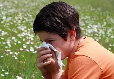 北京国医堂李峰出诊地点,李峰养生堂