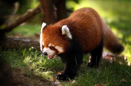 沈阳周边景色优美的地方,沈阳周边好看的风景