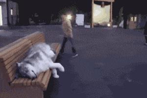 生活中有哪些常见凶险的致病菌,非常危险的致病菌有哪些