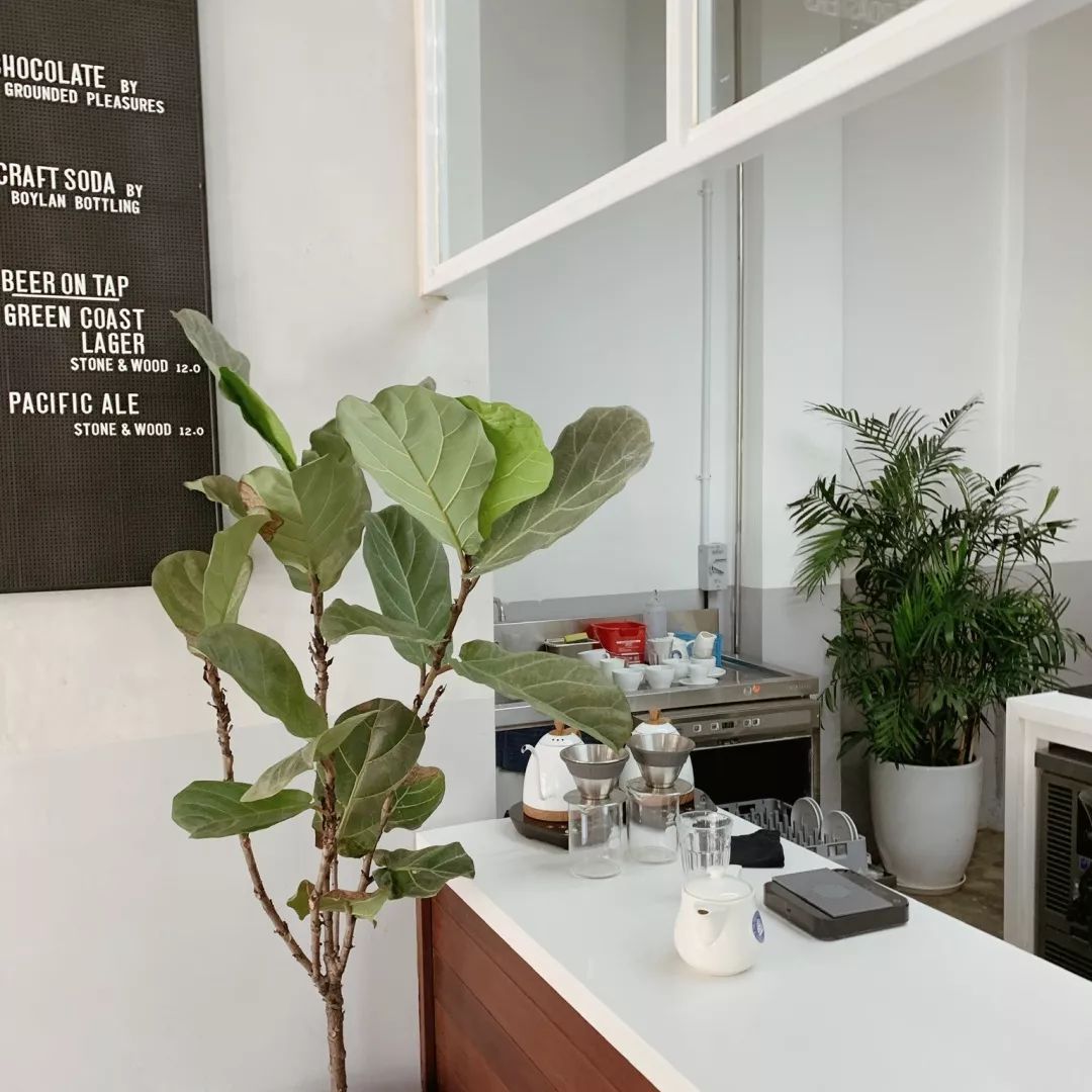 新加坡周末休闲,新加坡周末生活