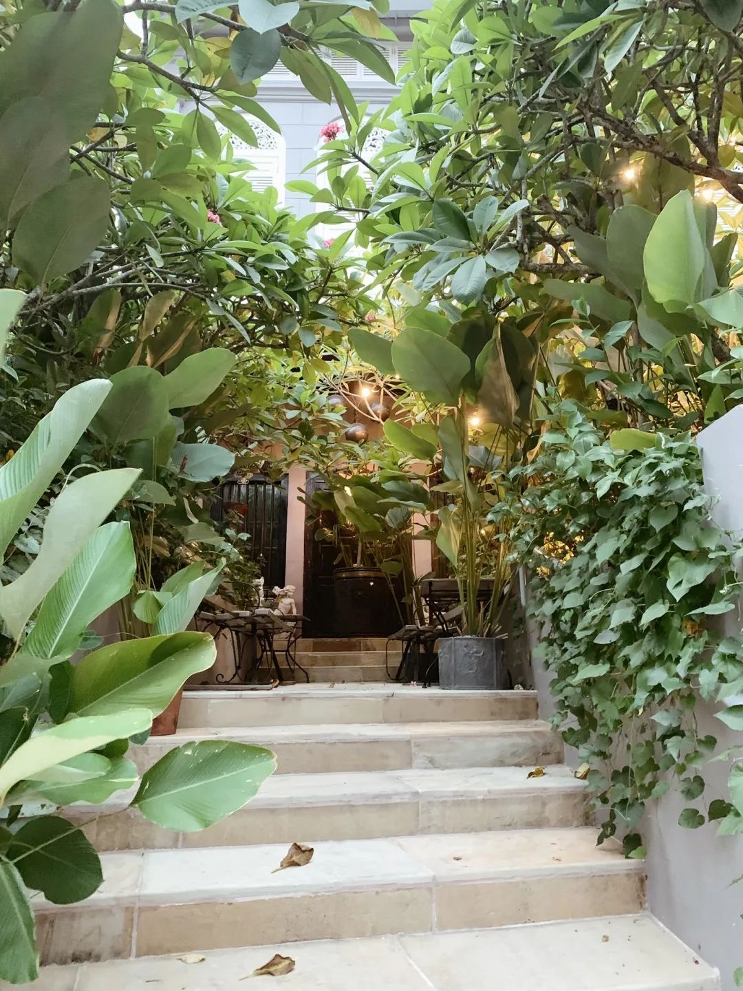 新加坡周末休闲,新加坡周末生活