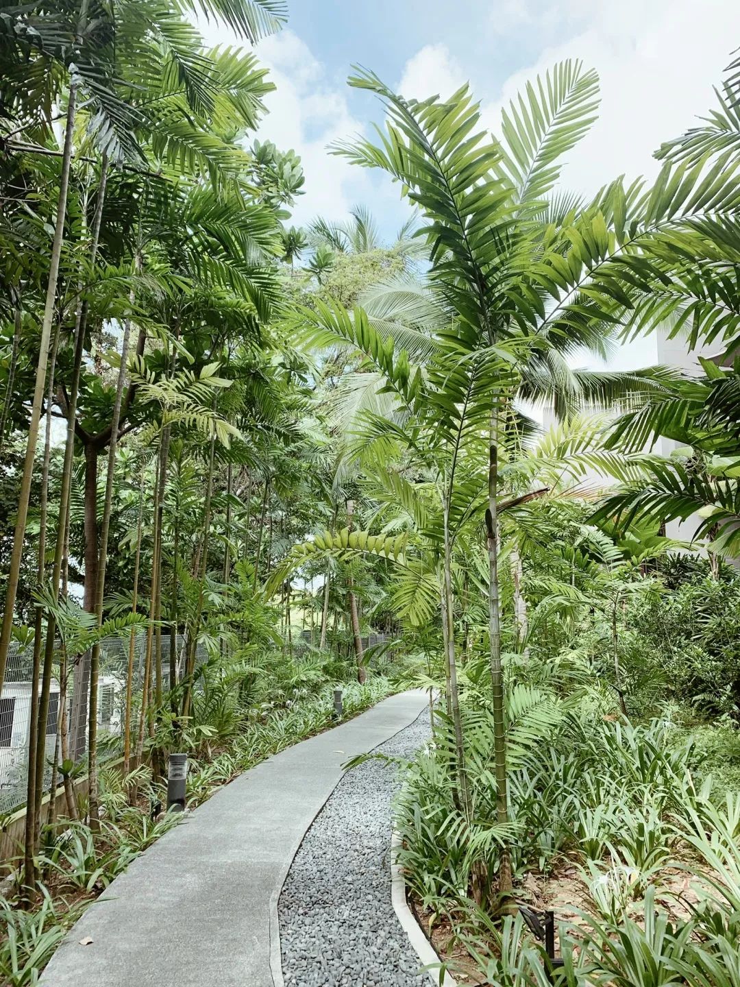 新加坡周末休闲,新加坡周末生活