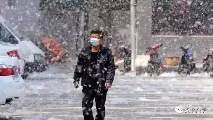 花粉树过敏,春花烂漫正当时花粉过敏需谨慎