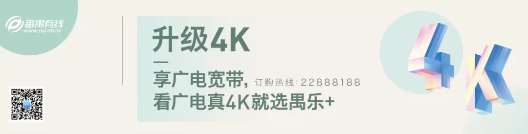 渔人码头今天新闻,渔人码头湛江最新新闻