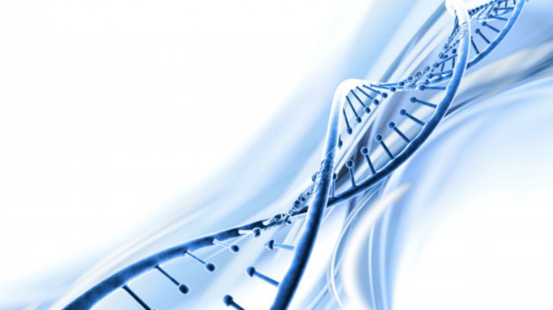 清华思客｜肖巍：基因编辑婴儿事件引发的生物医学科学技术的伦理思考