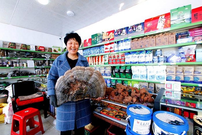 蓝莓小镇在哪里,蓝莓小镇的抖音