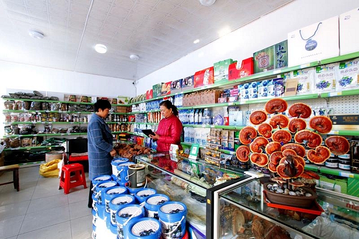 蓝莓小镇在哪里,蓝莓小镇的抖音