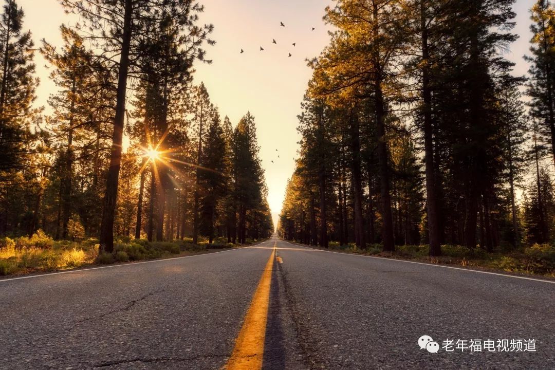 唱歌总是大白嗓唱不出来怎么办,唱歌很容易声音唱哑怎么解决