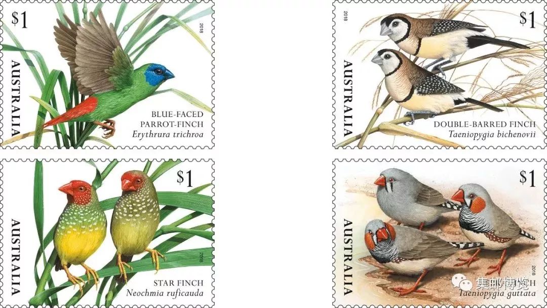 澳大利亚杯排行榜,澳大利亚产品排行榜前十名