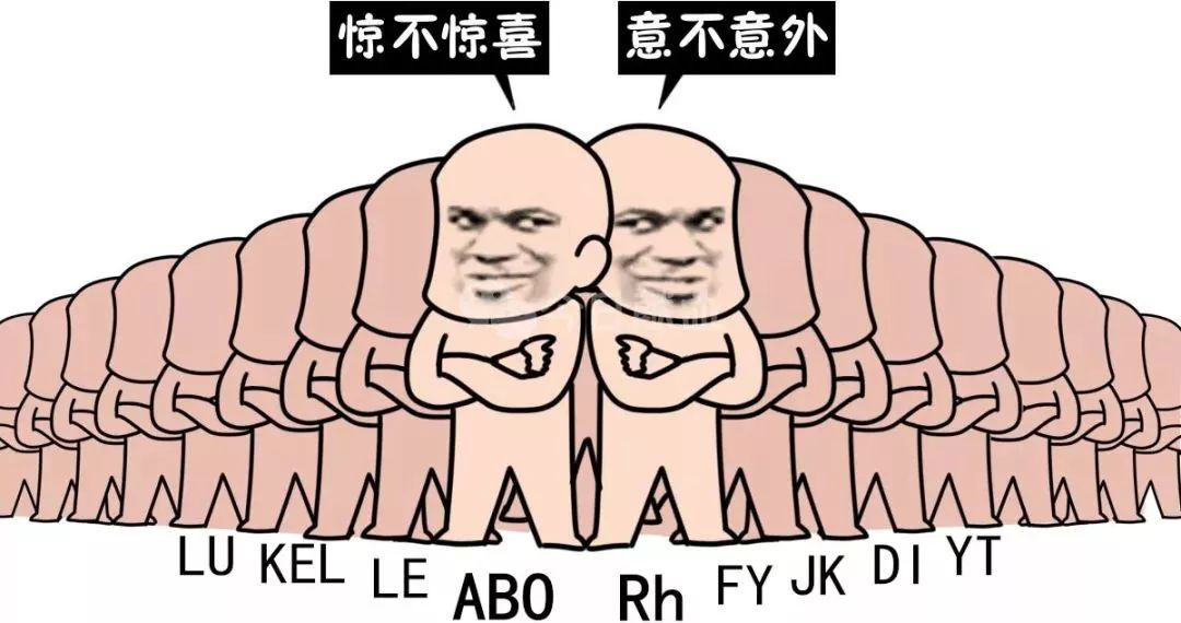 炸了,血型居然有100000000多种……