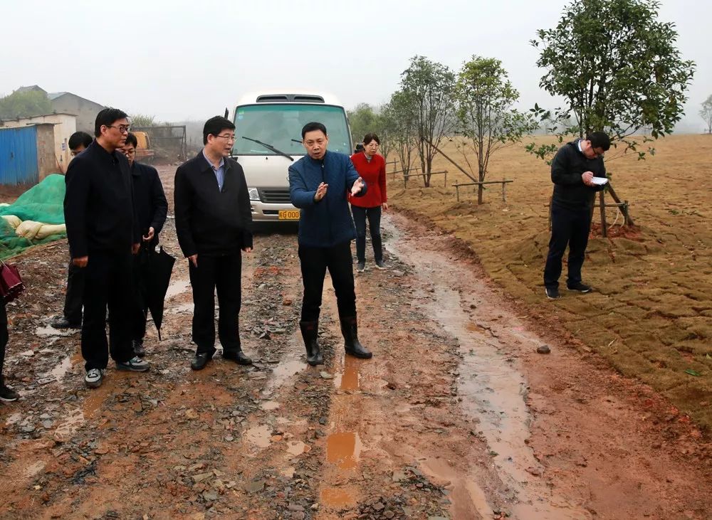 安徽铜陵市巡查最新消息,铜陵夜查