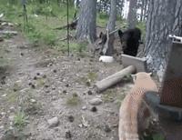 丽客隆超市上班,丽客隆新店招聘