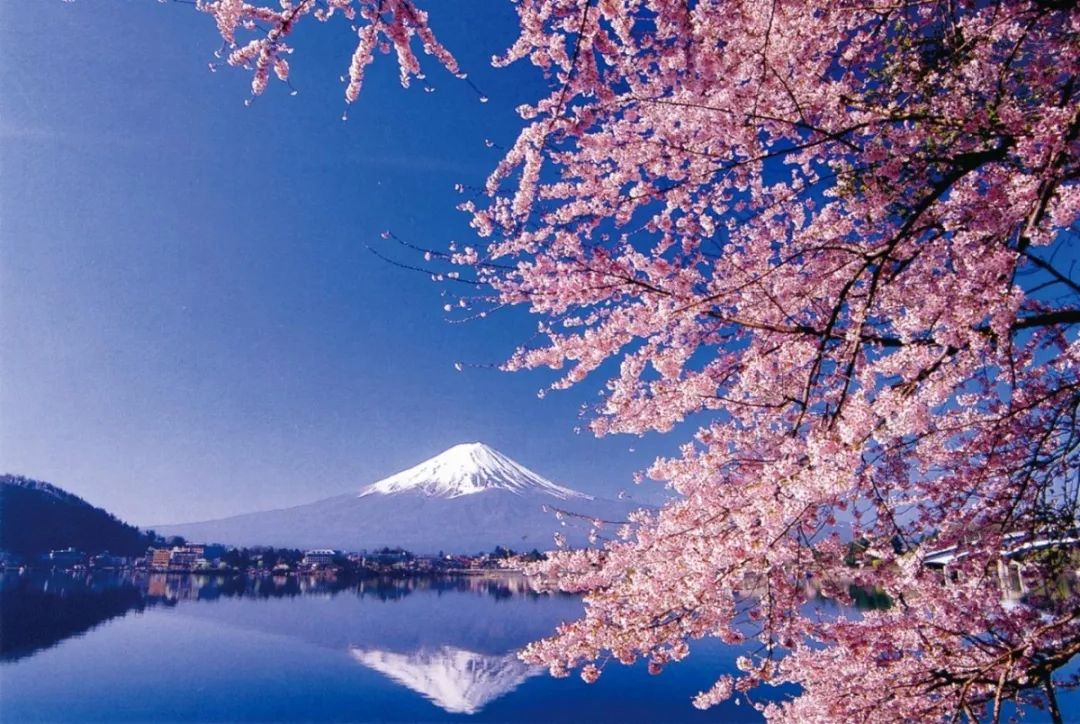 澄海玩具最新事件,澄海发生什么事情了