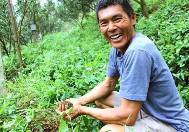 12年不打除草剂的生态农场,12年不除草